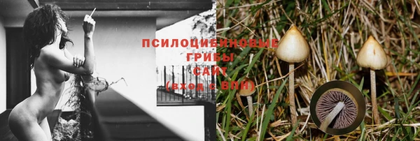 apvp Абдулино